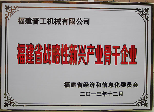 福建省戰(zhàn)略性新興產業(yè)骨干企業(yè)